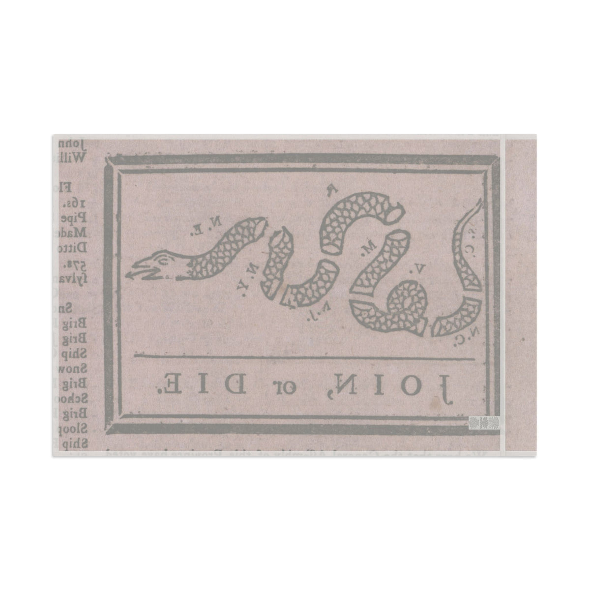 Join or Die Flag