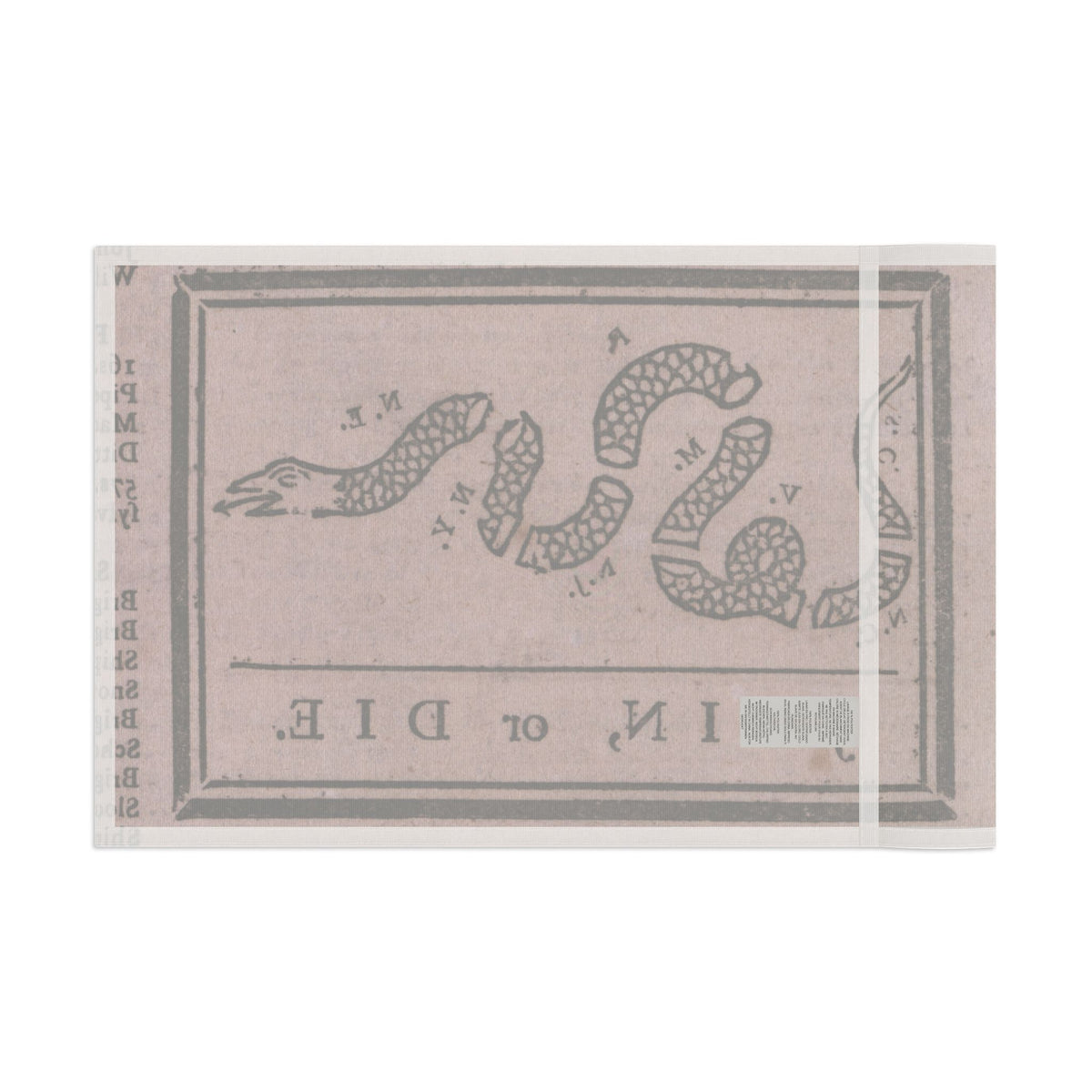 Join or Die Flag