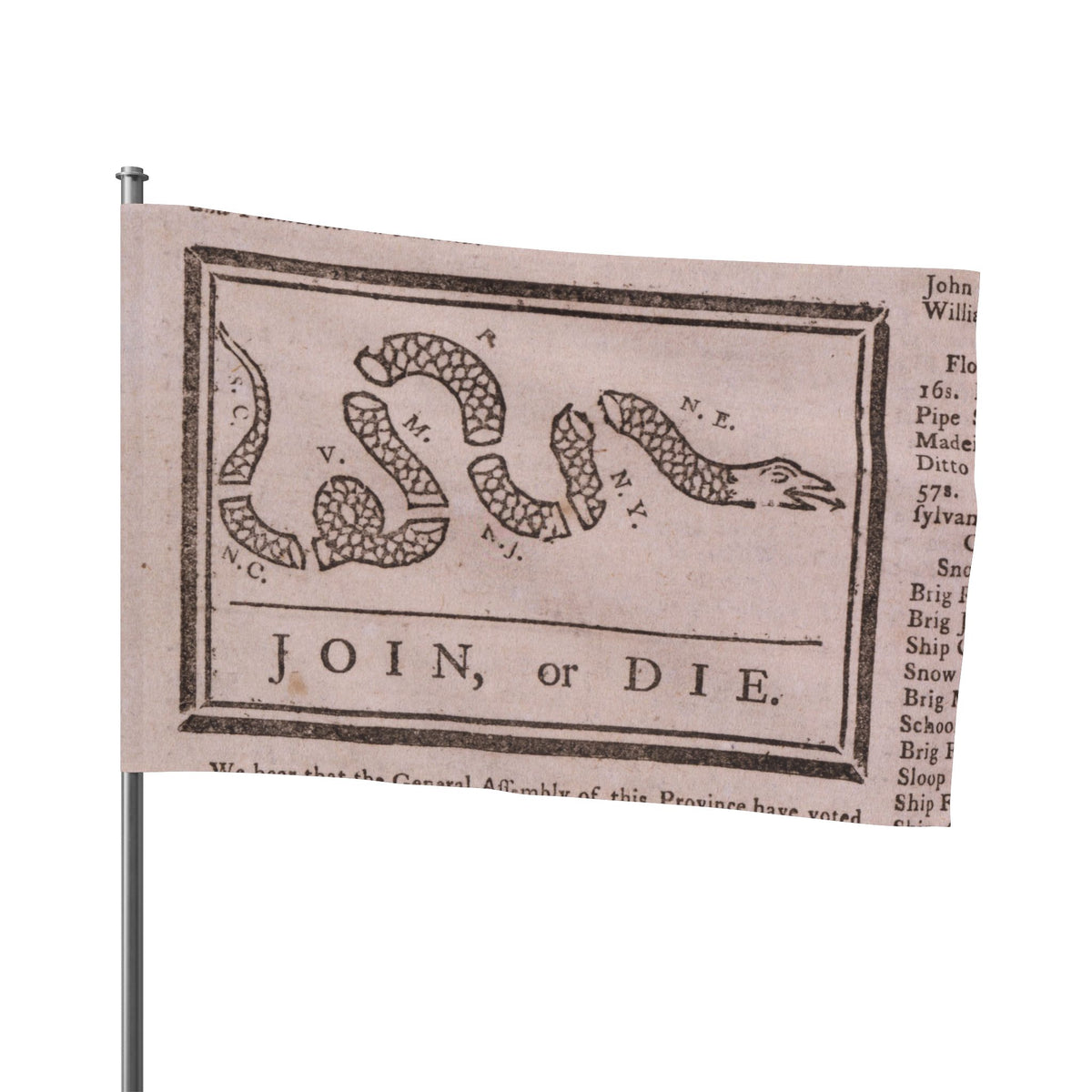 Join or Die Flag
